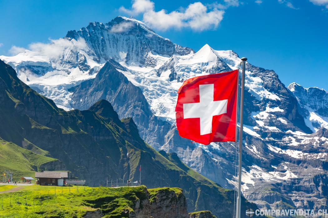 Vendesi società anonima svizzera Holding Finanziaria di 25 anni (AG / SA) VendesisocietanonimasvizzeraHoldingFinanziariadi25anniAGSA.jpg Vendesi società anonima svizzera Holding Finanziaria di 25 anni (AG / SA) VendesisocietanonimasvizzeraHoldingFinanziariadi25anniAGSA.jpg