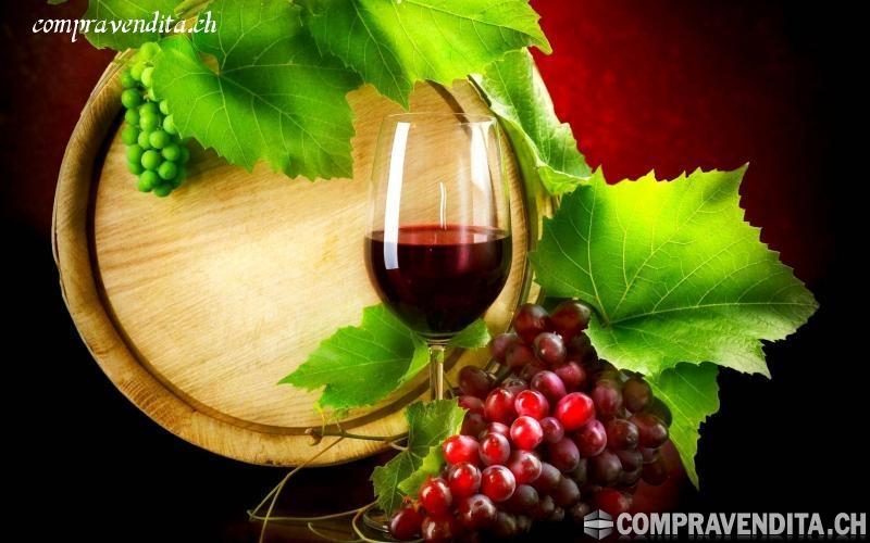 Vendesi enoteca nel Mendrisiotto VendesienotecanelMendrisiotto.jpg