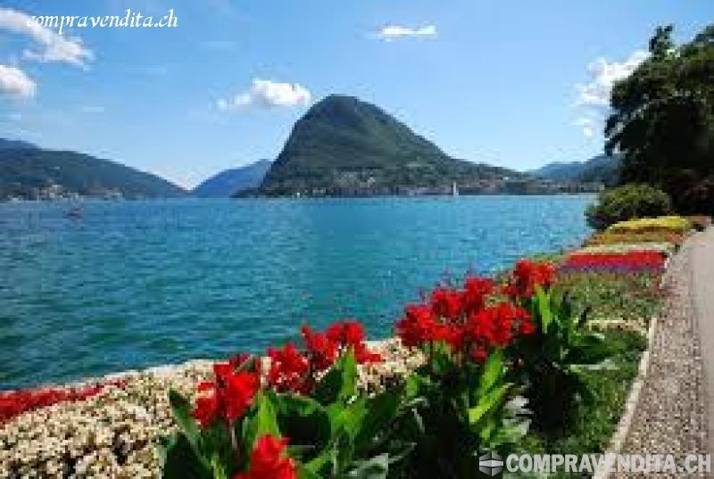 Vendesi storico ristorante pizzeria con forno a legna a Lugano VendesistoricoristorantepizzeriaconfornoalegnaaLugano.jpg Vendesi storico ristorante pizzeria con forno a legna a Lugano VendesistoricoristorantepizzeriaconfornoalegnaaLugano.jpg