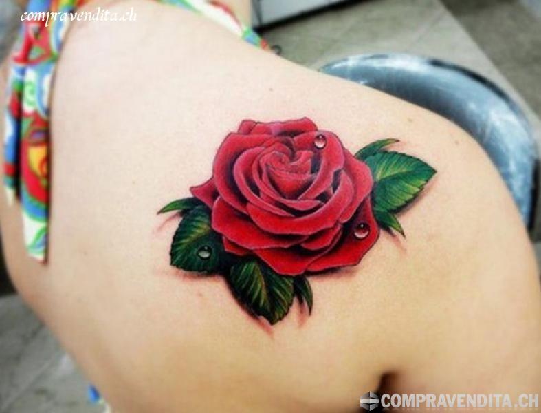 Cedesi studio di tatuaggi e piercing a Lugano CedesistudioditatuaggiepiercingaLugano.jpg Cedesi studio di tatuaggi e piercing a Lugano CedesistudioditatuaggiepiercingaLugano.jpg