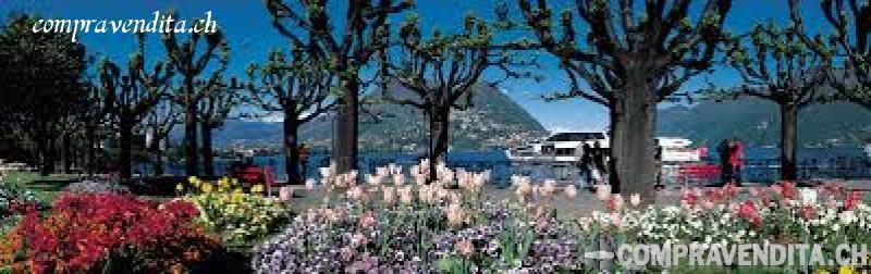 Vendesi ristorante bar completamente rinnovato nel centro di Lugano VendesiristorantebarcompletamenterinnovatonelcentrodiLugano.jpg Vendesi ristorante bar completamente rinnovato nel centro di Lugano VendesiristorantebarcompletamenterinnovatonelcentrodiLugano.jpg