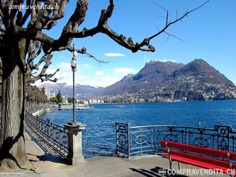 Spendido Bed and Breakfast vista lago a Lugano SpendidoBedandBreakfastvistalagoaLugano.jpg Spendido Bed and Breakfast vista lago a Lugano SpendidoBedandBreakfastvistalagoaLugano.jpg