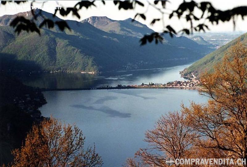 Cediamo Società di servizi attiva nel ramo edile CediamoSocietdiserviziattivanelramoedile.jpg Cediamo Società di servizi attiva nel ramo edile CediamoSocietdiserviziattivanelramoedile.jpg