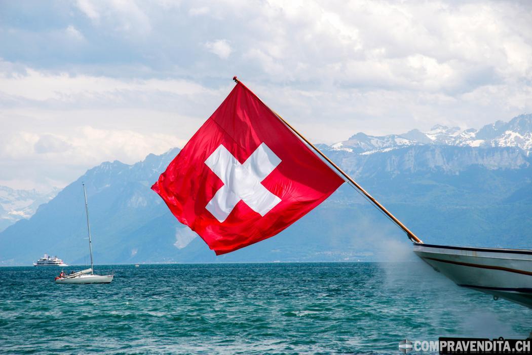 Vendesi società anonima svizzera operativa di 20 anni (AG / SA) Petroliffera Vendesisocietanonimasvizzeraoperativadi20anniAGSAPetroliffera-68c432cf6947a.jpg
