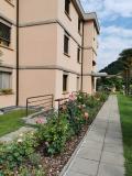 show room a Maroggia