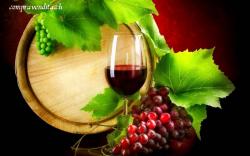 Vendesi enoteca nel Mendrisiotto