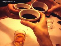 Vendesi rinomato grotto ticinese nel Bellinzonese