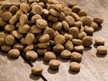 Si cede negozio di alimenti e accessori per animali