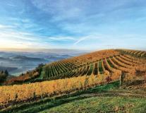 Azienda Agricola Vitivinicola Langhe AziendaAgricolaVitivinicolaLanghe-6a1446c2900f2.jpg