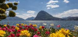 Si cede spazio commerciale in centro Lugano